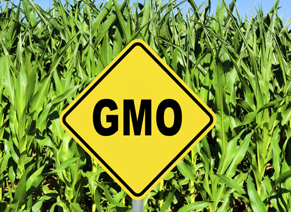 Okrugli stol: Javna kampanja protiv GMO-a u Hrvatskoj