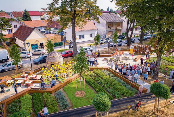 Razvojna agencija VTA – Prvih pet godina