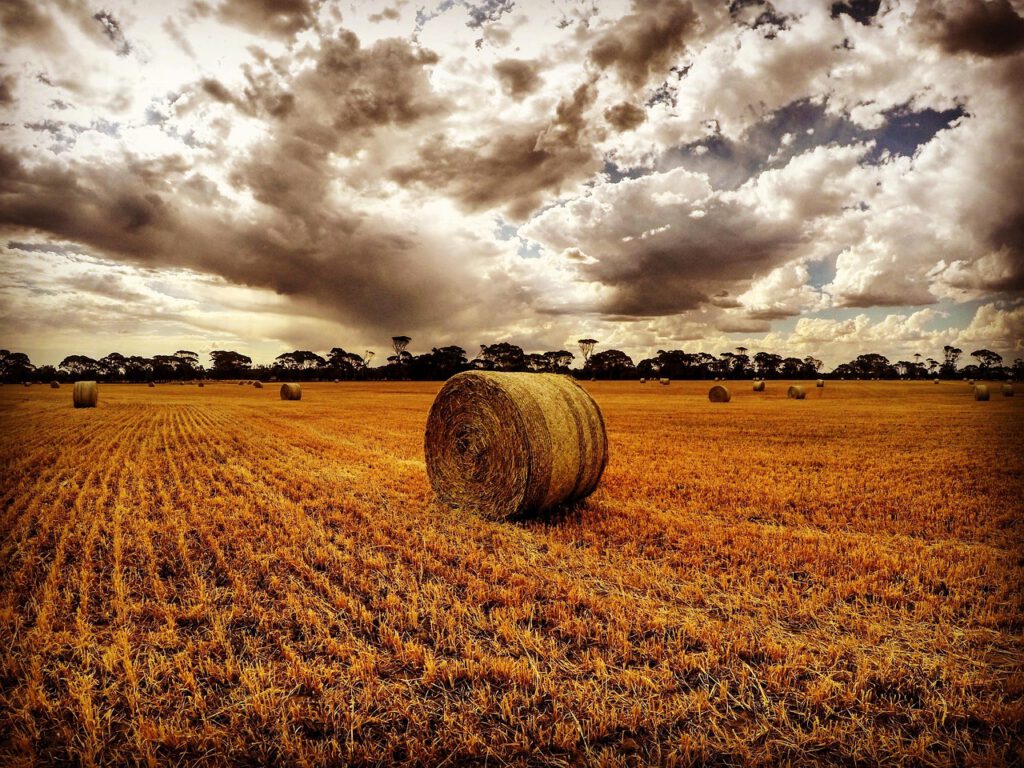 Razvojna agencija VTA prijavila 10 projekata ukupne vrijednosti 875.972,54 eura za mlade poljoprivrednike